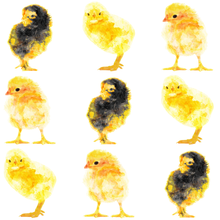 Load image into Gallery viewer, BIRDS DESIGNS