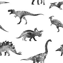 Load image into Gallery viewer, DINOSAURS AND DRAGONS DESIGNS