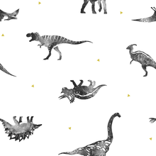 Load image into Gallery viewer, DINOSAURS AND DRAGONS DESIGNS
