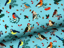 Load image into Gallery viewer, Birds on teal jersey