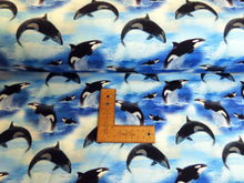 Load image into Gallery viewer, Orcas/Killer Whales French terry