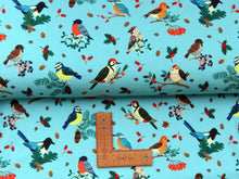 Load image into Gallery viewer, Birds on teal jersey
