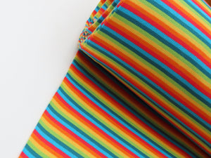 Multi stripe rainbow 2x2 ribbing