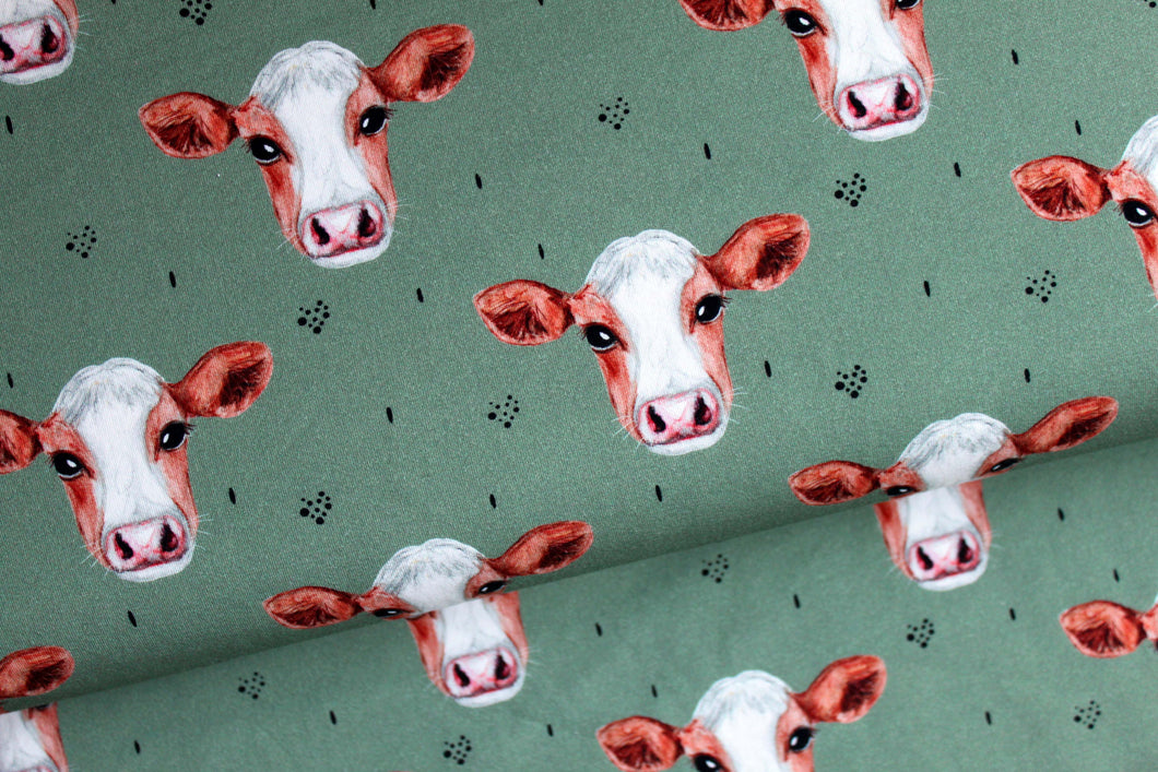 Daisy the Cow jersey, exclusive ETA W/C 24.03