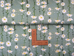 Daisy Chain  jersey, exclusive ETA W/C 24.03